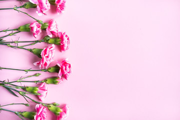 Pink clove flowers.