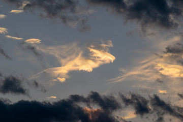 Fototapeta na wymiar 天翔けるドラゴンのような形をした光彩の雲