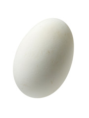 Salted duck egg on white blackgrourd.