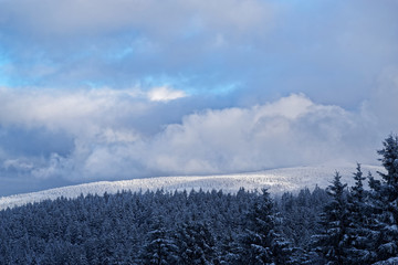 winter landscape in Harz national park, Germany