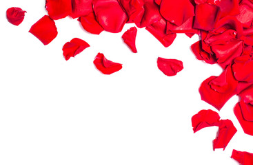 Background with red rose petals