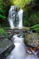 Horseshoe Falls, Catlins Forest Park, South Island, New Zealand