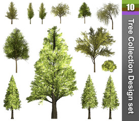Tree correction design set. 3D Illustration. White background isolate. Nature and Gardens design.