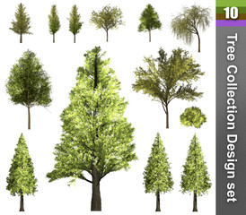Obraz premium Tree correction design set. 3D Illustration. White background isolate. Nature and Gardens design.