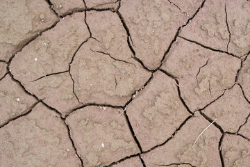 cracked ground texture