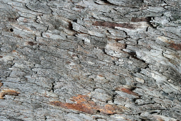 surface of old wood