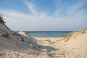 Curonian spit, national park in the Kaliningrad region, the beach of the Baltic Sea