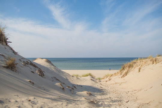 Curonian spit, national park in the Kaliningrad region, the beach of the Baltic Sea