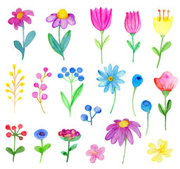 Set of vector watercolor flowers
