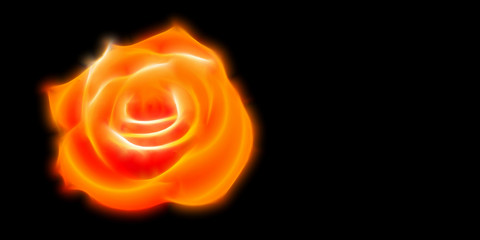 Rose fractal on dark background