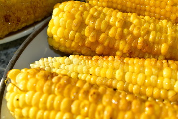 Roasted corn cobs in the sun (delicacies).