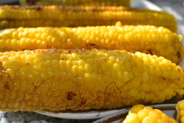 Roasted corn cobs in the sun (delicacies).