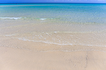 beach and tropical sea