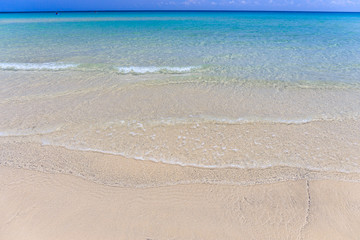 beach and tropical sea