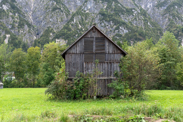 old shed stable on green meadow