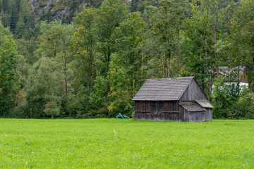 old shed stable on green meadow