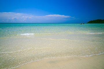 Fototapeta premium beach and tropical sea