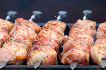 Juicy marinated in spices meat kebab on skewers. Cooking barbecue on the grill
