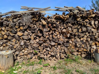 Tree shoes and sky blue