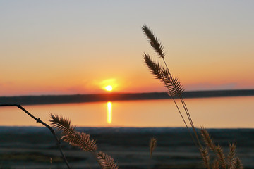 Naklejka na ściany i meble Sunset over the estuary in the steppe.