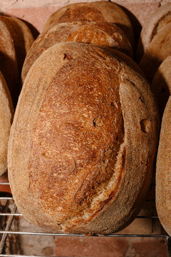 Freshly Baked Rustic Sourdough Bread Loaf