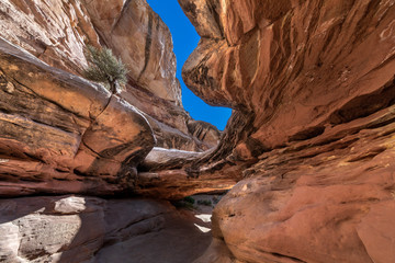 Wide angle view of the interior of a slot canyon carved into the red sandstone, under a spotless blue sky