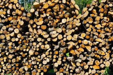 Stacks of chopped wood logs outside