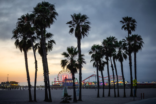 Santa Monica pier at sunset, with the silohuette of a group of palm trees in the foreground