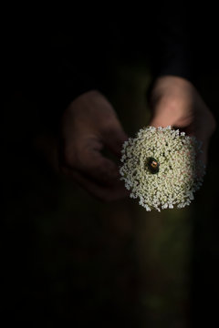 suumer mood