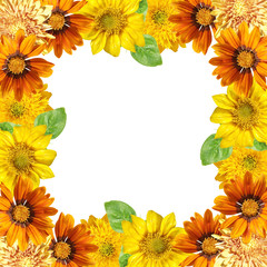 Beautiful floral background of gazania, sunflower and chrysanthemum. Isolated