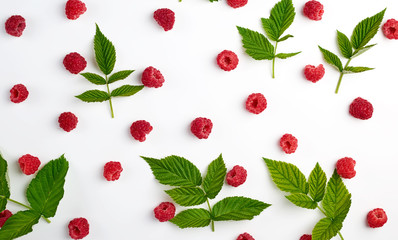 red ripe raspberries and green leaves scattered on a white background