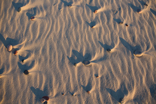 Textured beach sand with wind ripples, scattered pebbles, and long shadows at sunset