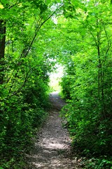 Impressionen vom Bondensee und der Landschaft herum
