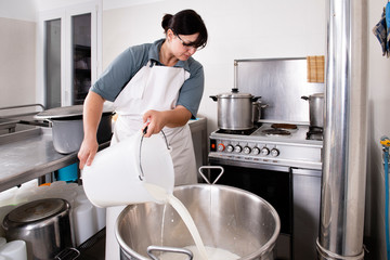 Cheese Maker pours milk into a steel container