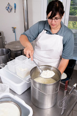 Cheesemaker pours the curdled milk into the plastic forms