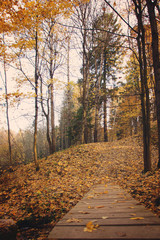 A wooden bridge made of planks leading deep into the autumn park with fallen yellow leaves