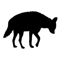 Silhouette of hyena on a white background