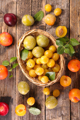 assorted of different sort of plum, top view