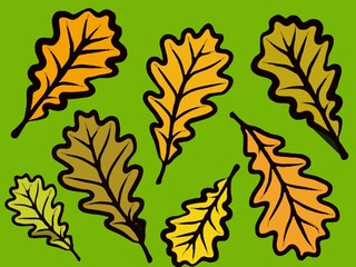 modern autumn oak leaf design in bold colors on a green background