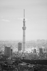 Obraz premium wieża skytree w Japonii