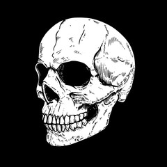Illustration of human skull on dark background. Design element for poster, card, flyer, emblem, sign.