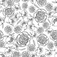 Seamless pattern with peony flowers, nature floral background