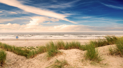 Wonderful dune beach landscape on the North Sea island Langeoog in Germany with grass, blue sky and clouds on a beautiful summer day, Europe.