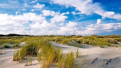 Fototapeta na wymiar Wonderful dune beach landscape on the North Sea island Langeoog in Germany with grass, blue sky and clouds on a beautiful summer day, Europe.