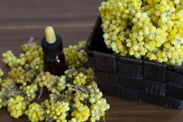 The Helichrysum Arenarium golden grass on the wooden background.