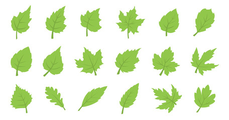 Green leaf set. Eco design