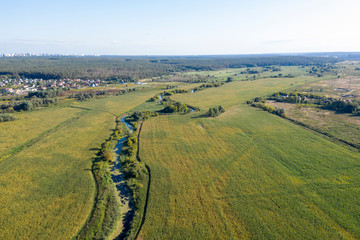 banks of a swampy river, aerial view