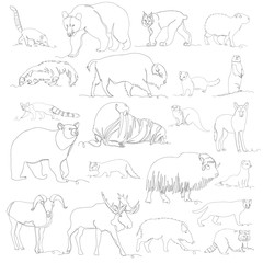 wild animal. vector images of different animals. one line. set