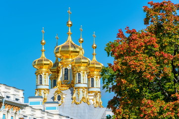 Catherine palace church dome in autumn foliage, Pushkin (Tsarskoe Selo), Saint Petersburg, Russia