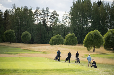 Varied terrain of the Kanava Golf Course. Group of golfers moving on the emerald green fiels to their next target. Disaigned trees and bushes.